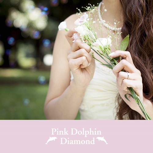 ピンクドルフィンメイン画像