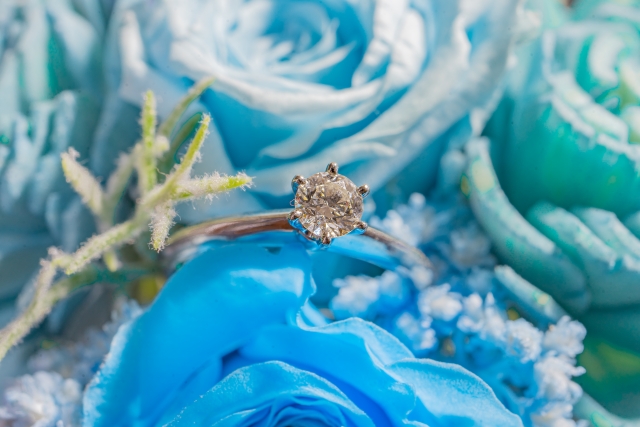 青い薔薇と婚約指輪のイメージ写真