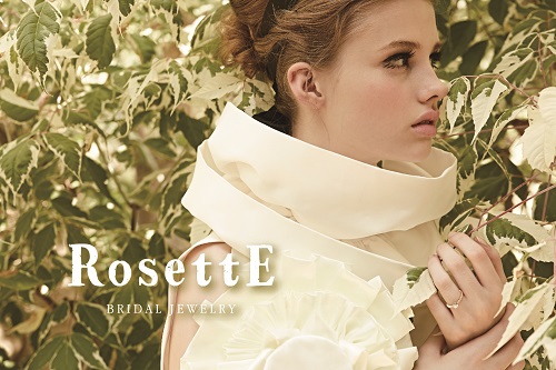 ロゼットモデル