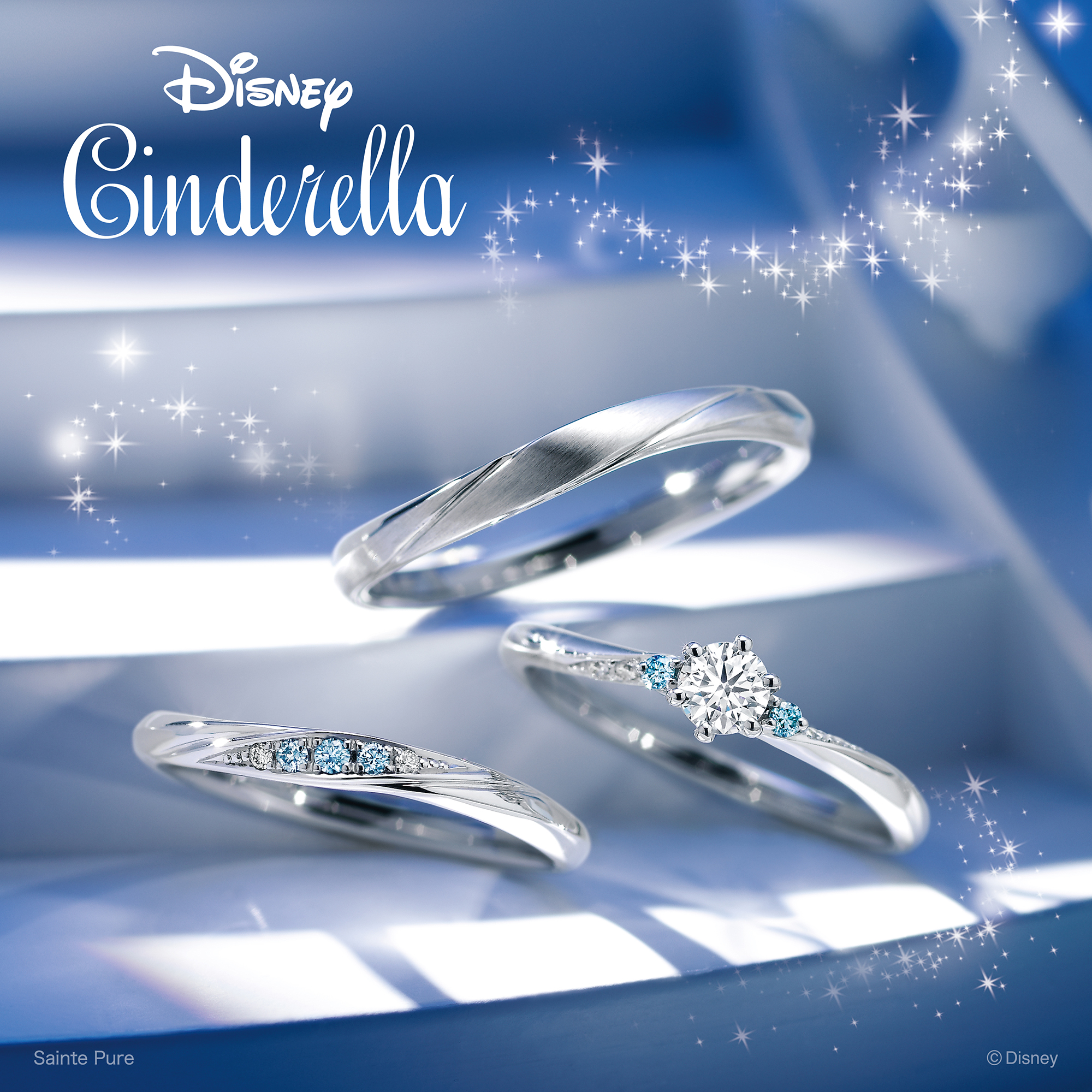 セットリング写真