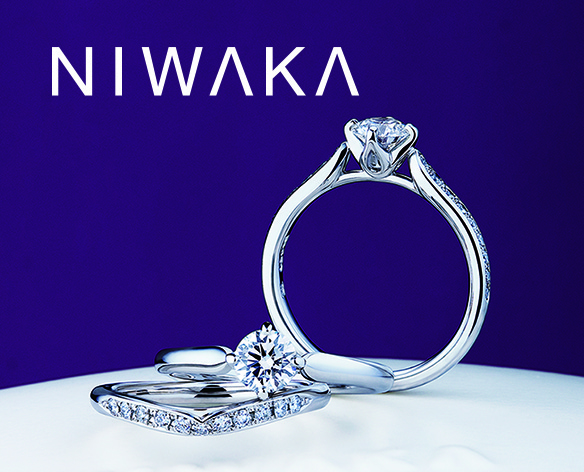 セットリング写真