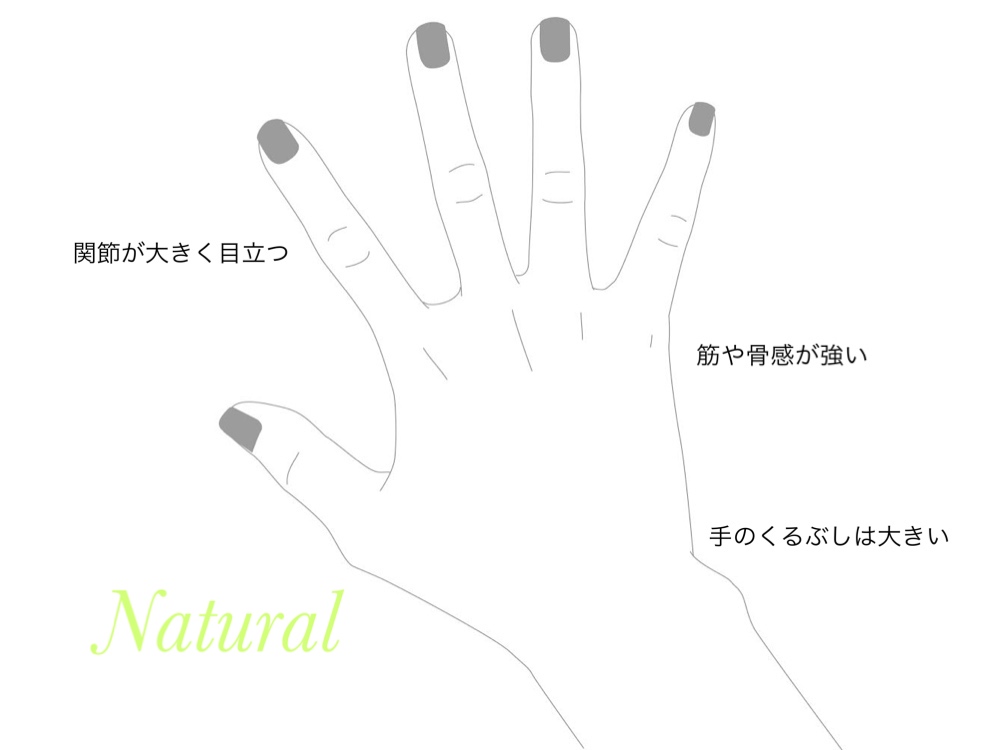 骨格ナチュラル