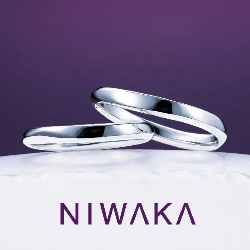 NIWAKA 笹舟リング 16号 Pt950 最終値下げ NIWAKA 笹舟リング 16号 Pt950 最終値下げ - メルカリ