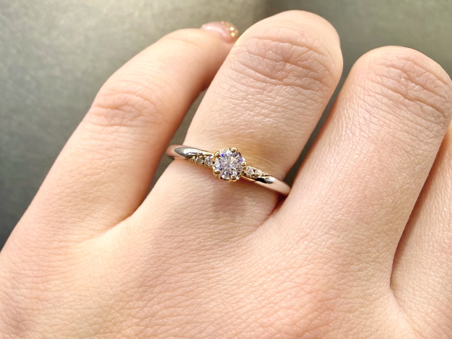 アルナイル着用