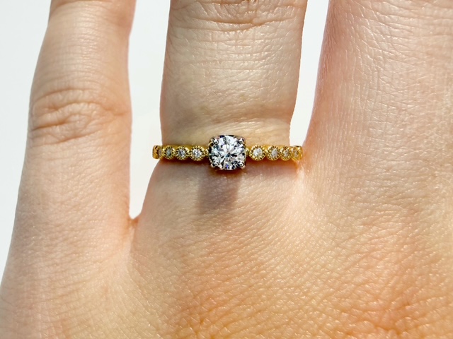 ローズマリー着用