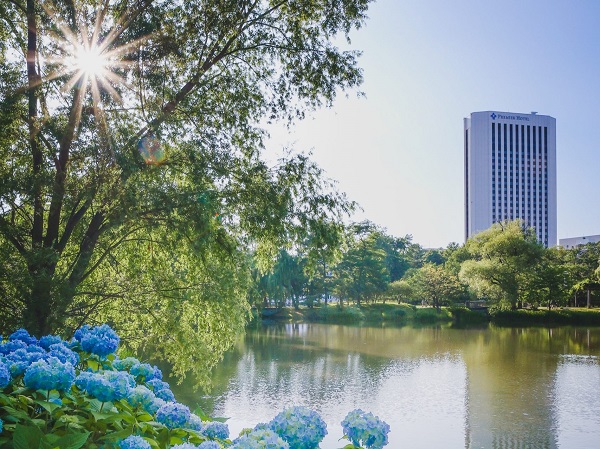 中島公園池イメージ